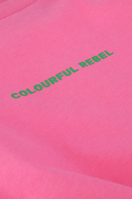 COLOURFUL REBEL T-shirt UNI LOGO LOOSEFIT TEE en rose - large