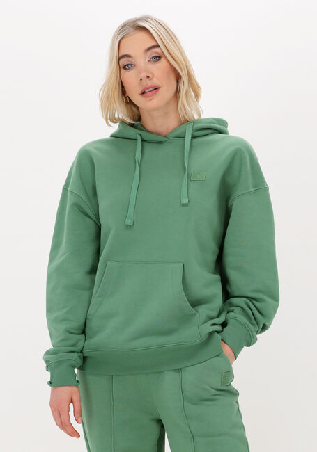 COLOURFUL REBEL Chandail UNI OVERSIZED HOODIE en vert - large