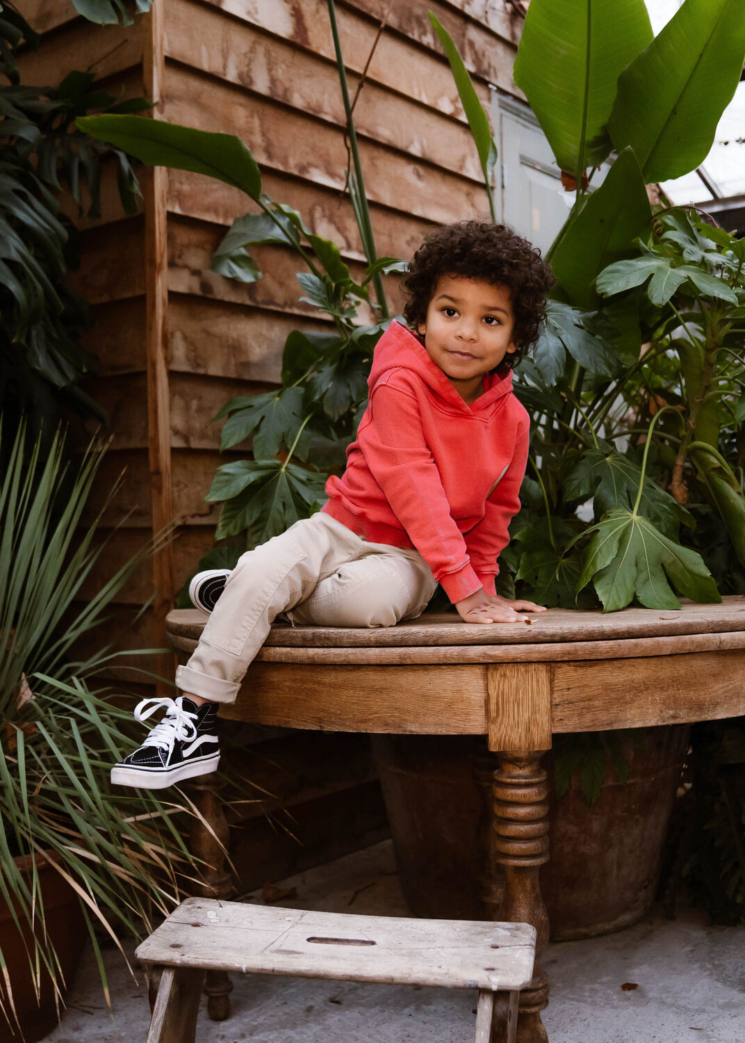 DAILY7 HOODIE DISCOVERING LIFE Pulls & Gilets en rouge - large