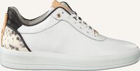 FRED DE LA BRETONIERE Baskets basses 101010129 FRS0673 en blanc  FRED DE LA BRETONIERE Baskets basses 101010129 FRS0673 en blanc  - medium