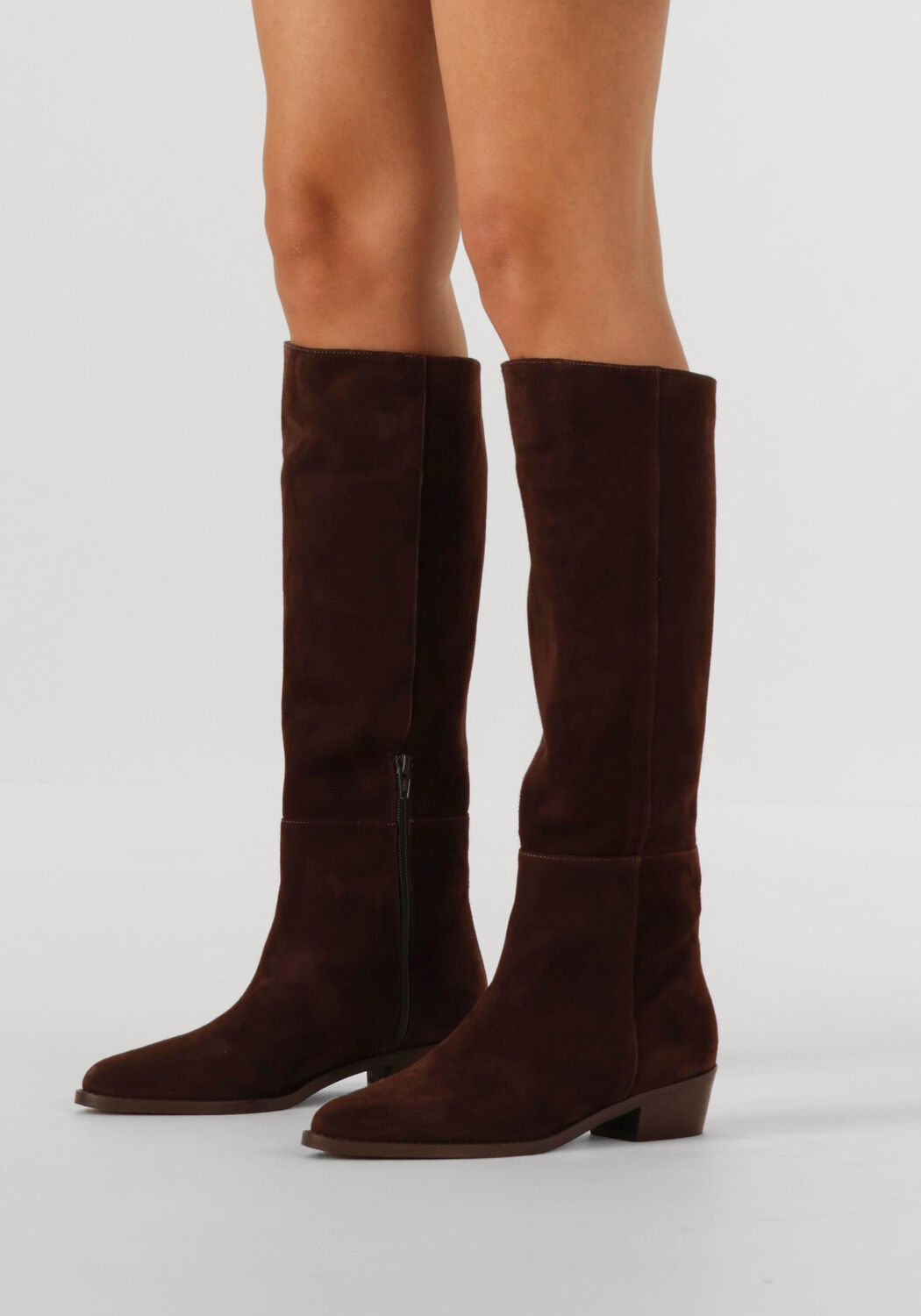 Bruine NOTRE-V  39492 - large