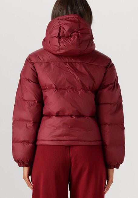 CALVIN KLEIN Veste matelassé ESSENTIAL MIDWEIGHT PUFFER JACKE Bordeaux - large
