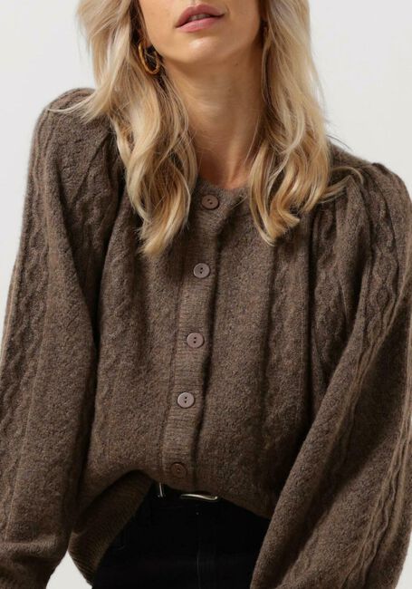 CO'COUTURE Gilet PIXIE POINTELLE CARDIGAN en taupe - large