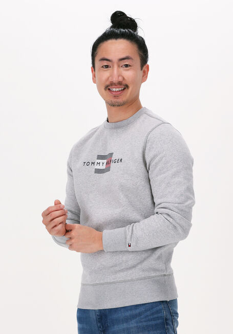 TOMMY HILFIGER Chandail LINES HILFIGER CREWNECK Gris clair - large