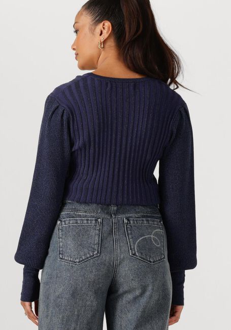 NUKUS MULBERRY PULLOVER LUREX Pulls & Gilets Bleu foncé - large