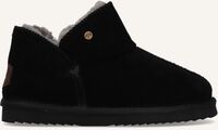 WARMBAT WILLOW - medium