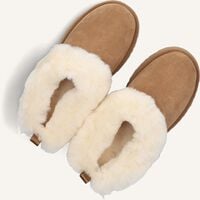 Cognac UGG Pantoffels TAZZELLE K Cognac UGG Pantoffels TAZZELLE K - medium