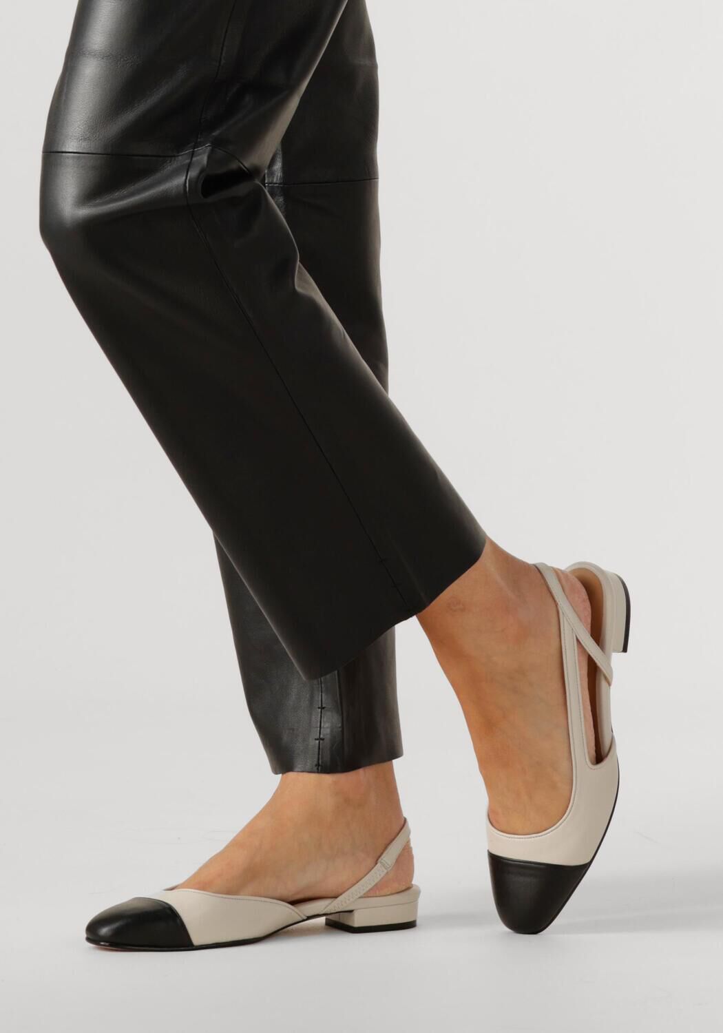 Witte TORAL  LUISA - large