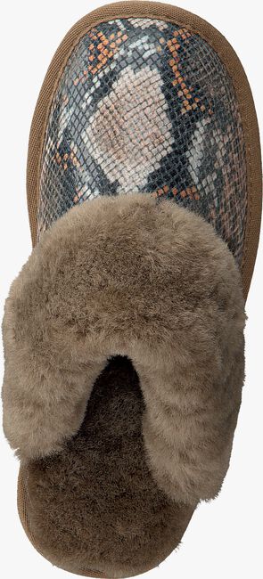 WARMBAT Chaussons FLURRY en taupe  - large