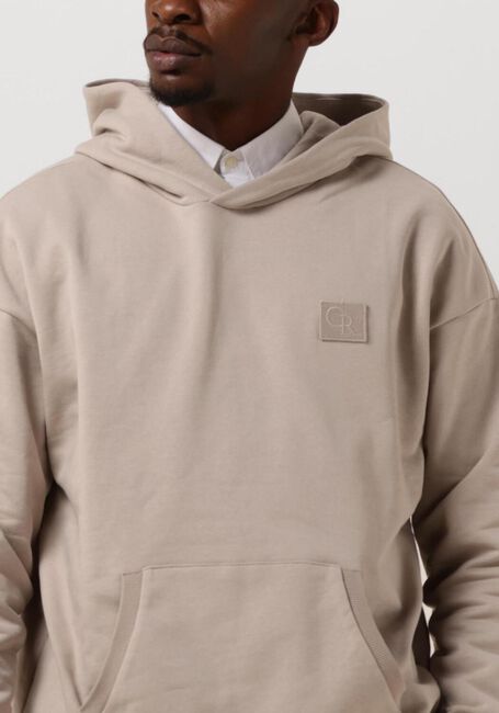 Beige COLOURFUL REBEL Sweater UNI PATCH DROPPED SHOULDER HOODIE - large