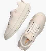 Witte UP SHOEWEAR RISE LITE MEN Lage sneakers - medium