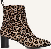 NOTRE-V 8543 - medium