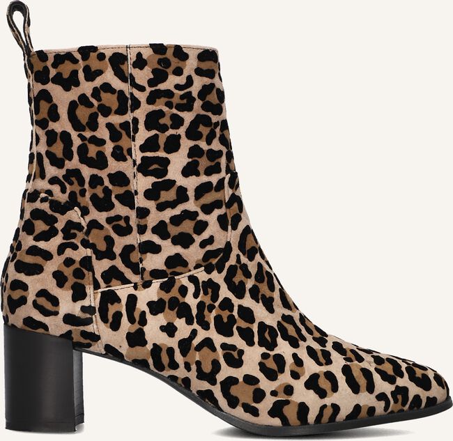 NOTRE-V 8543 NOTRE-V 8543 - large