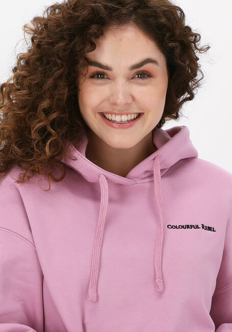 COLOURFUL REBEL Chandail STARGAZE OVERSIZED HOODIE Lilas - large