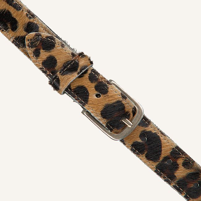 Bruine LEGEND Riem 30248 Bruine LEGEND Riem 30248 - large