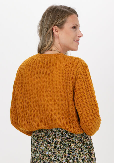 SET Pull 74632 Ocre - large