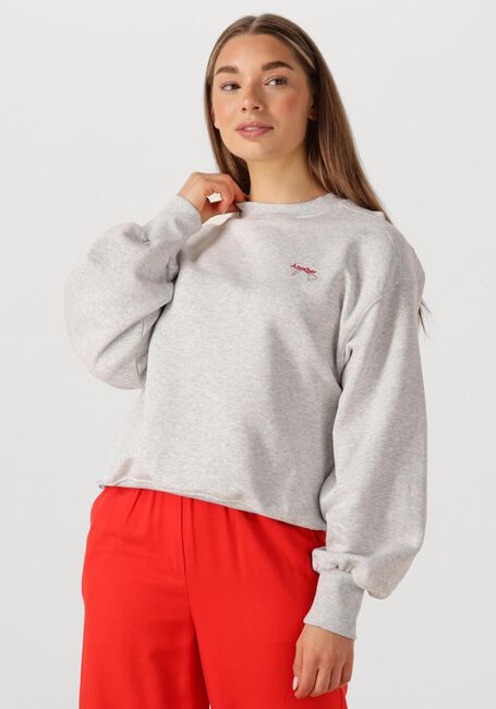 ANOTHER LABEL Chandail JAXY FLOWER SWEAT Gris clair - large
