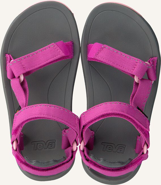 Roze TEVA Sandalen 1019390 C HURRICANE XLT2 Roze TEVA Sandalen 1019390 C HURRICANE XLT2 - large