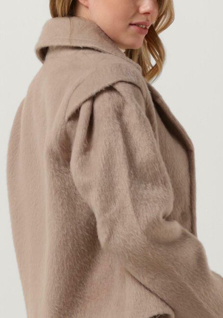 Camel IBANA Jack CALLETTA - large