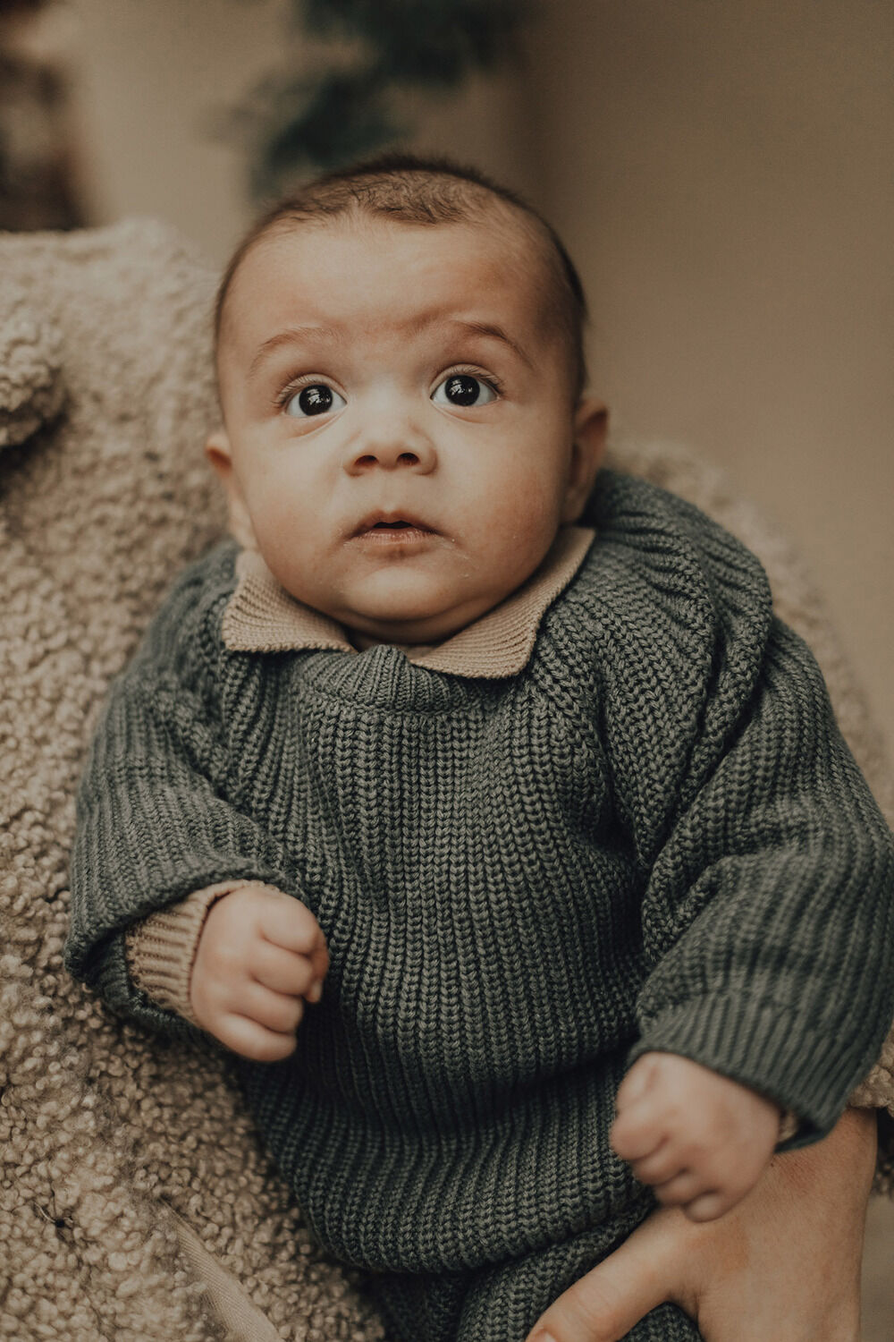 BAJE STUDIO Pull ROCK en vert - large