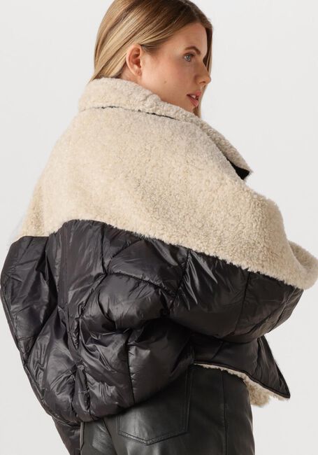 Zwarte IBANA Jack CAELI - large