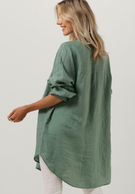 Groene DRYKORN  MIDINIA - large