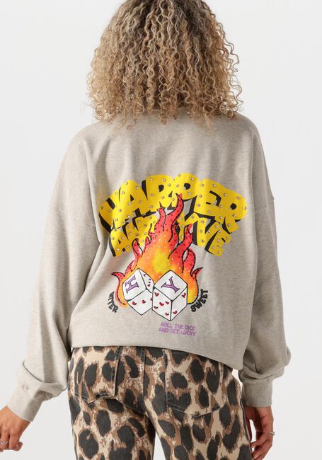 HARPER & YVE Chandail ROLLTHEDICE-SW en gris - large