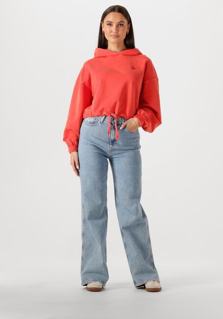 TOMMY JEANS Chandail TJW CRP GMD SCRIPT HOODIE en rouge - large