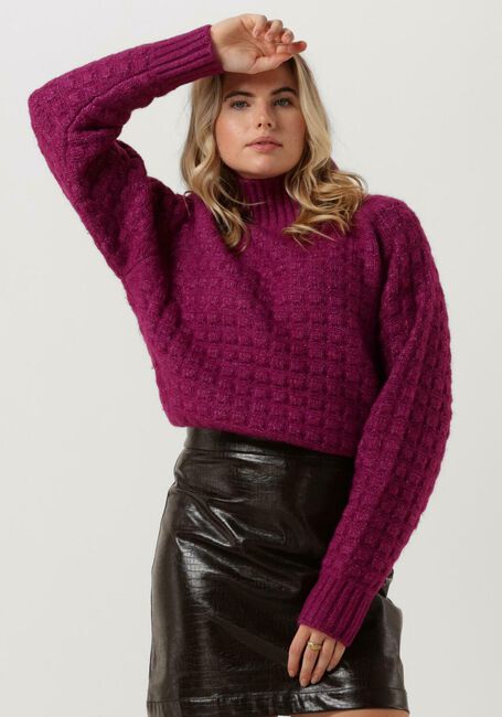 Paarse SILVIAN HEACH Coltrui LUPETTO M/L - SWEATER - large