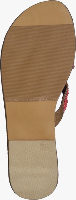 Roze HOT LAVA Slippers SM1749 - large
