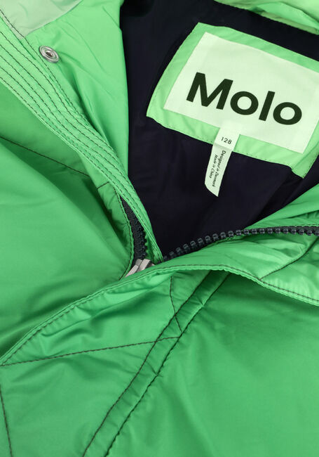 Groene MOLO Gewatteerde jas HAYDEN - large