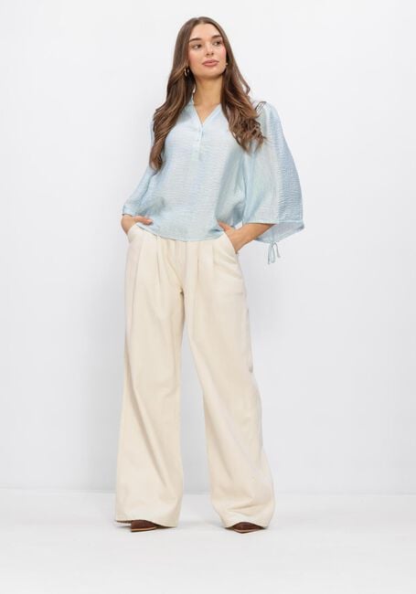 Lichtblauwe AAIKO  DAHLIA VIS 532 - large