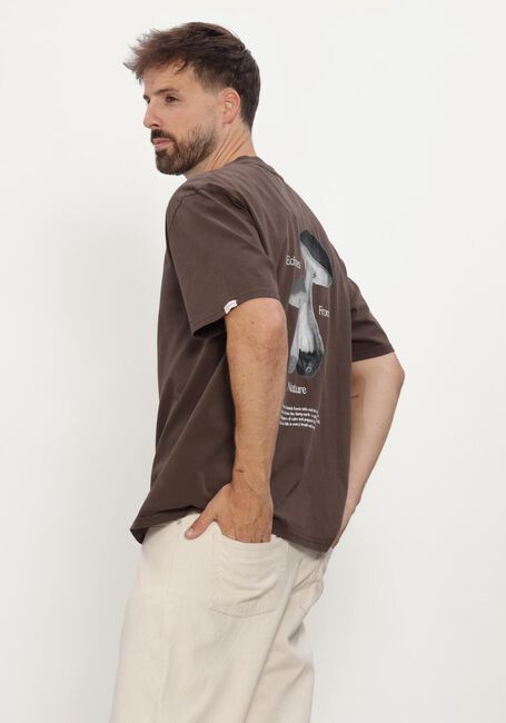 Bruine ANERKJENDT T-shirt AKVILLADS ECHOS SS TEE - large