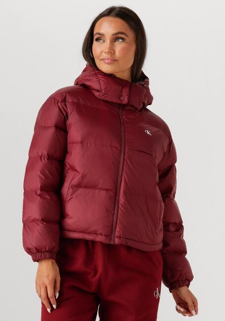 CALVIN KLEIN Veste matelassé ESSENTIAL MIDWEIGHT PUFFER JACKE Bordeaux - large