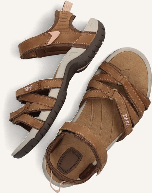 Bruine TEVA Sandalen W TIRRA Bruine TEVA Sandalen W TIRRA - large
