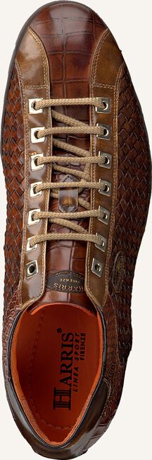 Cognac HARRIS Sneakers 5339 Cognac HARRIS Sneakers 5339 - large
