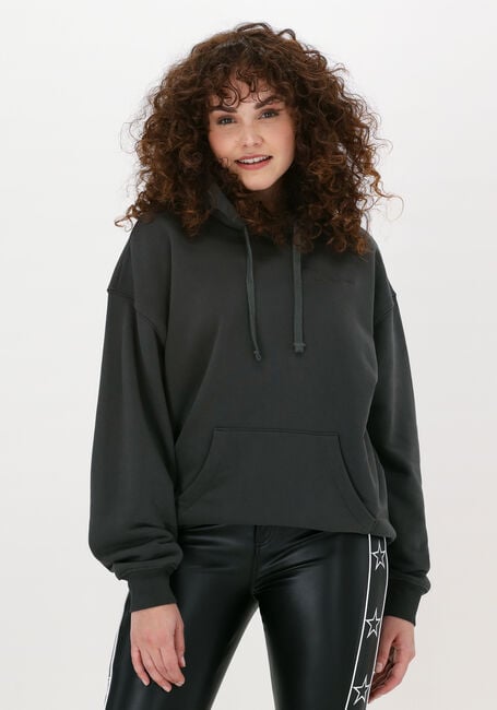 Grijze COLOURFUL REBEL Sweater BORN LUCKY EMBRO OVERSIZED HOO - large