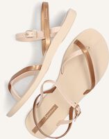 Gouden IPANEMA Sandalen FASHION SANDAL Gouden IPANEMA Sandalen FASHION SANDAL - medium