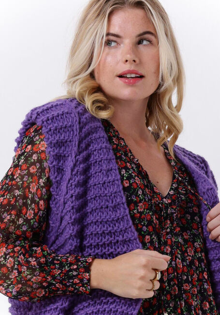Paarse NOTRE-V Gilet KNIT GILET - large