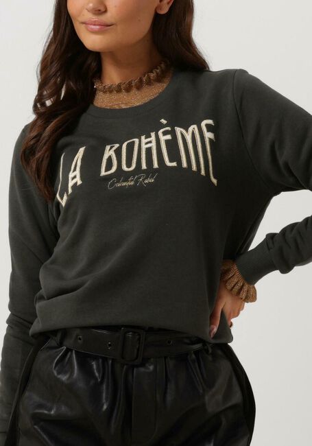 COLOURFUL REBEL Chandail LA BOHEME EMBRO BASIC SWEAT en gris - large