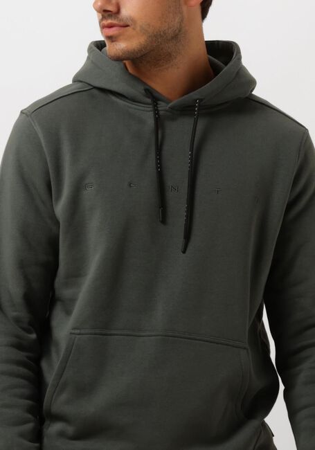GENTI J1068-3229 Pulls & Gilets en vert - large