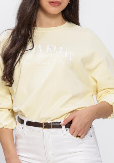CALVIN KLEIN Pull LOGO GRAPHIC CREWNECK SWEATSHIRT en jaune - large