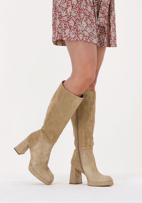 Beige NOTRE-V  AO131 - large