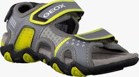 grey GEOX shoe J5224E  - medium