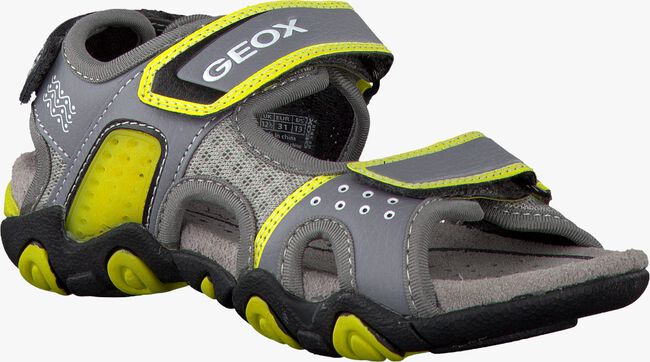 grey GEOX shoe J5224E  - large