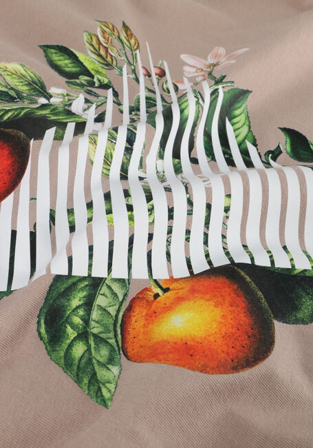 PURE PATH TSHIRT WITH FRONT AND BACK PRINT PURE PATH TSHIRT WITH FRONT AND BACK PRINT - large