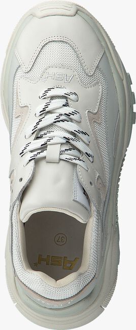 Witte ASH Lage sneakers ADDICT - large