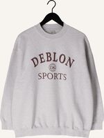 Lichtgrijze DEBLON SPORTS Sweater LILOU SWEATER Lichtgrijze DEBLON SPORTS Sweater LILOU SWEATER - medium