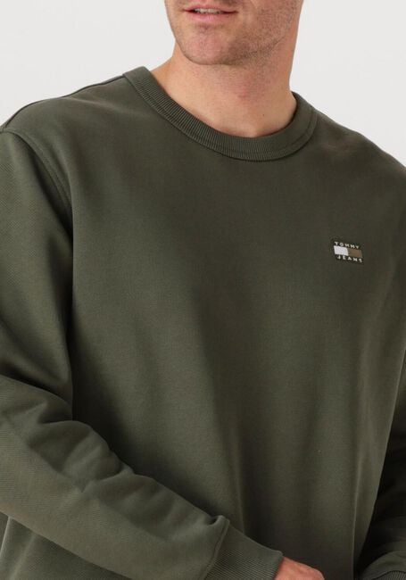 TOMMY JEANS Pull TJM REG BADGE CREW EXT Vert foncé - large