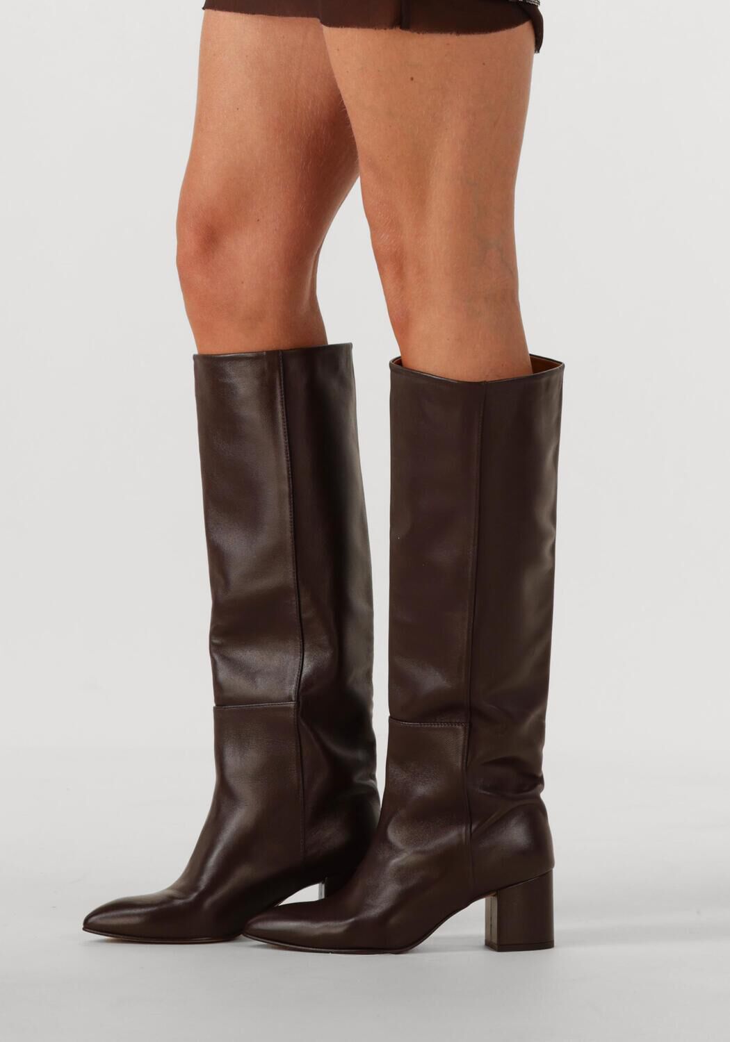 Bruine TORAL  12776 - large